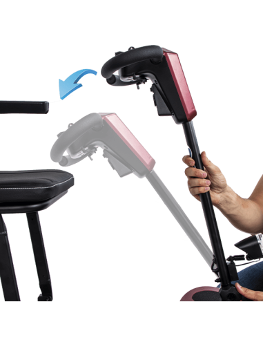 Scooter eléctrico plegable Bora-Bora