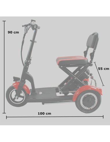 Scooter Eléctrico Plegable Folding 300 W – Movilidad Compacta