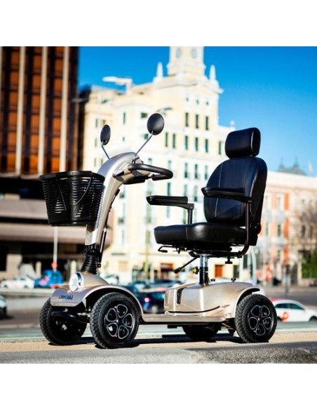 Scooter Cruiser