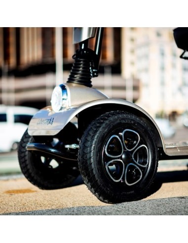 Scooter Cruiser