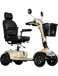 Scooter Cruiser