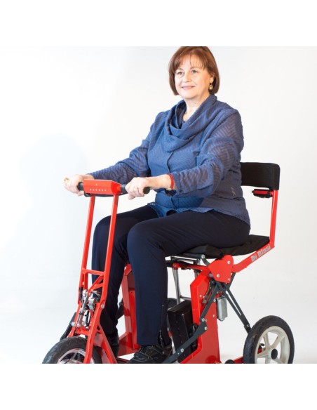 Scooter Plegable R30.2