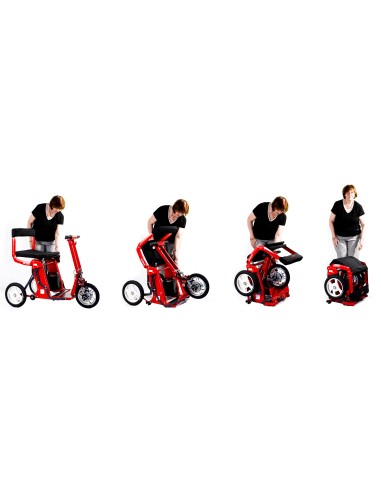 Scooter Plegable R30.2
