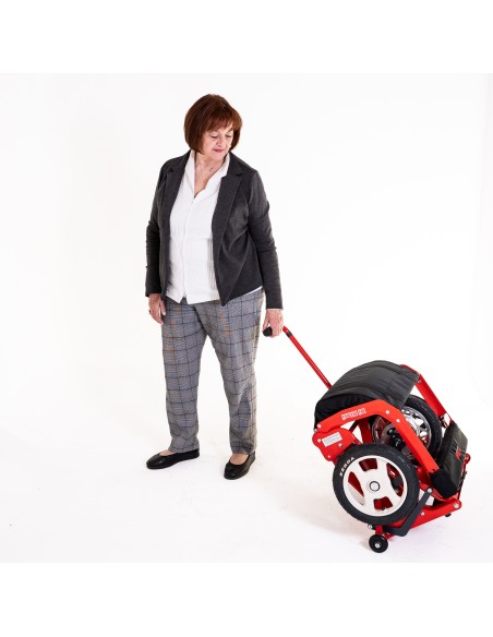Scooter Plegable R30.2