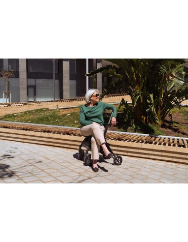 ANDADOR CARRO DE COMPRA R5