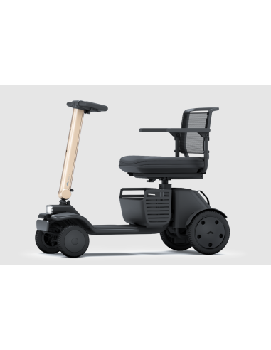 Scooter Model R