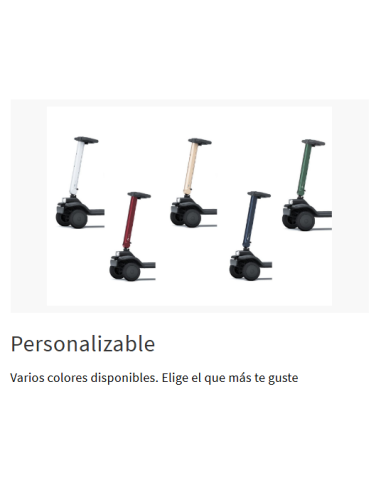 Scooter Model R