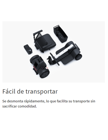 Scooter Model R