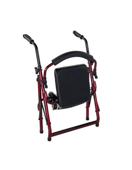 Comprar Andador Mini Roler a precios de oferta