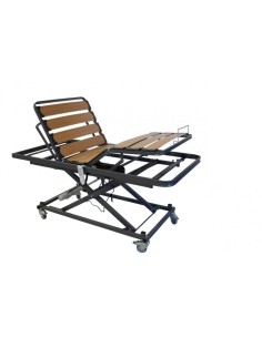 CAMA ARTICULADA CON CARRO ELEVADOR