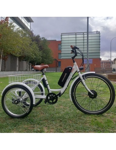 Comprar Triciclo Eléctrico E-Trike a precios de oferta