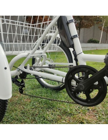 Comprar Triciclo Eléctrico E-Trike a precios de oferta
