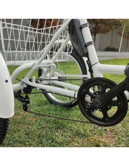 Comprar Triciclo Eléctrico E-Trike a precios de oferta