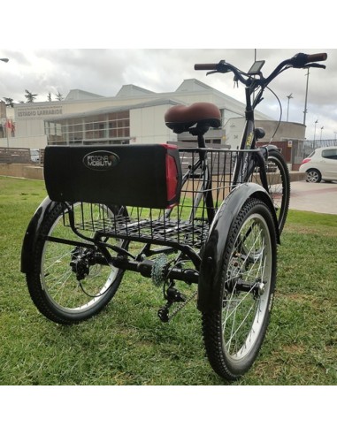 Comprar Triciclo Eléctrico E-Trike a precios de oferta